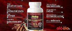 Công dụng của viên uống Đông trùng hạ thảo aloha pure cordyceps là gì?