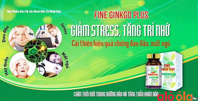 Viên uống bổ não Fine Ginkgo Pluso - “ Nguồn dinh dưỡng” cho não bộ 