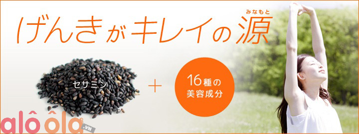 Viên uống mè đen len men đẹp da DHC của Nhật