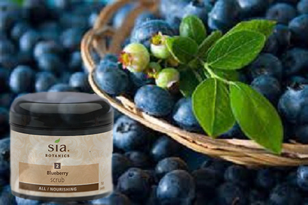 Kem tẩy da chết an toàn không hóa chất với chiết xuất tự nhiên việt quất blueberry scrub