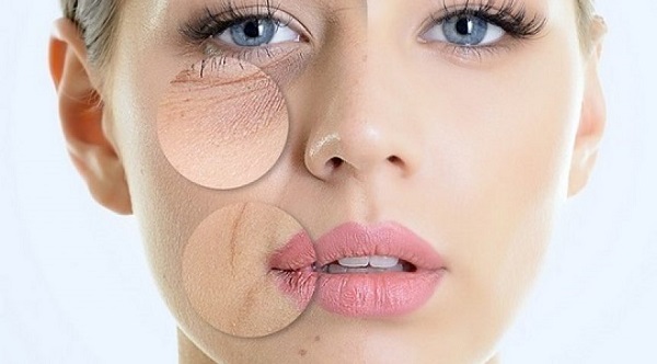 cách chống lão hóa da từ collagen shiseido