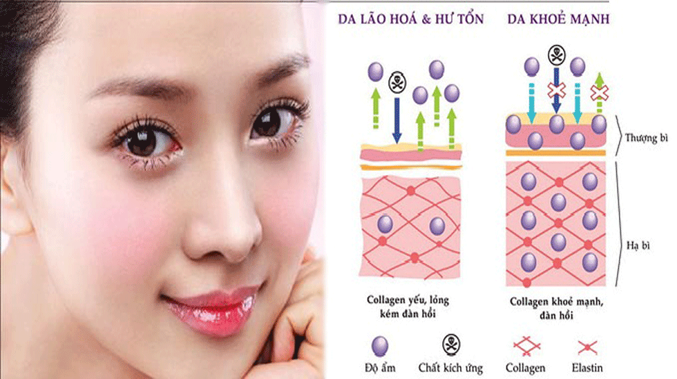 trước và sau khi sử dụng collagen
