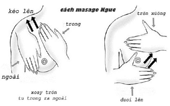 Cách làm tăng vòng 1 hiệu quả bằng cách Massage