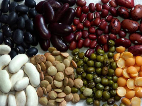 top 10 loại hạt giúp con thông minh mẹ bầu nên ăn