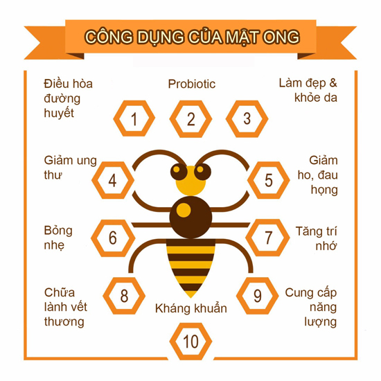 công dụng của mật ong đối với sức khỏe con người