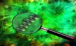 Những câu hỏi thường gặp về tảo mặt trời spirulina