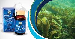 Okinawa fucoidan có hiệu quả với ung thư không?
