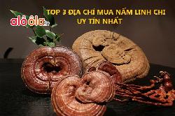Top 3 địa chỉ mua nấm linh chi tin cậy uy tín tại TP. Hồ Chí Minh