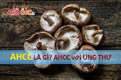 AHCC là gì? Tác dụng của thuốc AHCC trong điều trị ung thư?