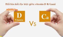 Mối liên kết đặc biệt giữa canxi và vitamin D - Tại sao Vitamin D cần thiết cho sự hấp thụ canxi?