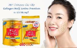 Review bột Collagen Meiji Premium có thực sự tốt không? Mua ở đâu?