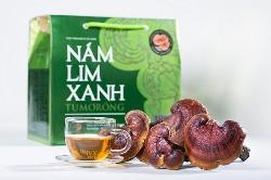 Nấm Lim Xanh Tumorong món quà dinh dưỡng cho sức khỏe