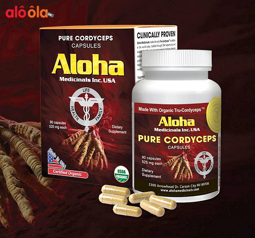 hướng dẫn sử dụng đông trùng hạ thảo aloha pure cordyceps