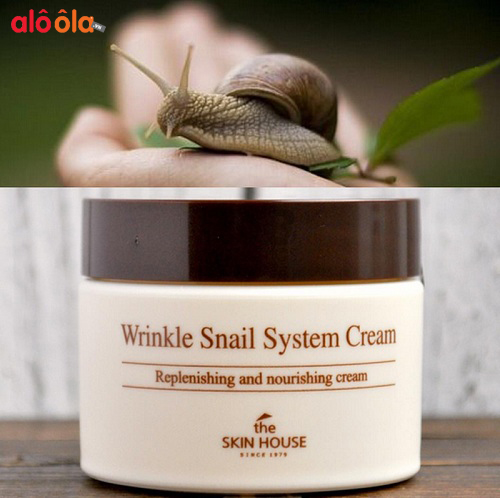 Kem ốc sên The Skin House Wrinkle Snail System Cream có tốt không?