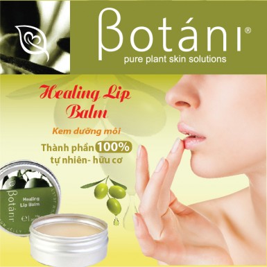Son dưỡng môi Olive Healing Lip Balm – Botáni 