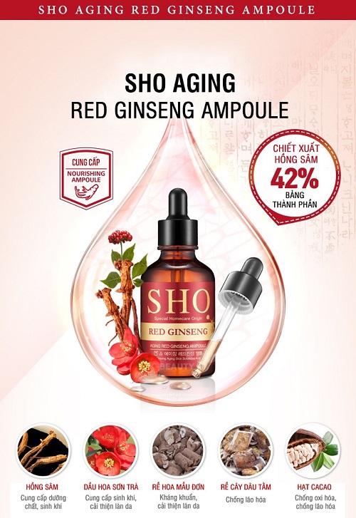 Tinh chất chống lão hóa hồng sâm Sho Red Ginseng Aging Red Ginseng Ampoule