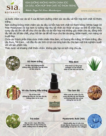 Các thành phần thiên nhiên có trong kem dưỡng không nhờn chăm sóc da dầu white sage oil free moisturizer