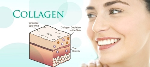 Collagen có tác dụng gì đối với da? 