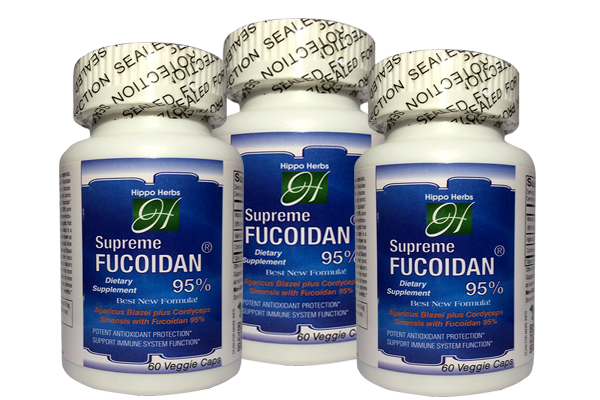 Supreme fucoidan 95% dễ sử dụng đơn giản và hiệu quả