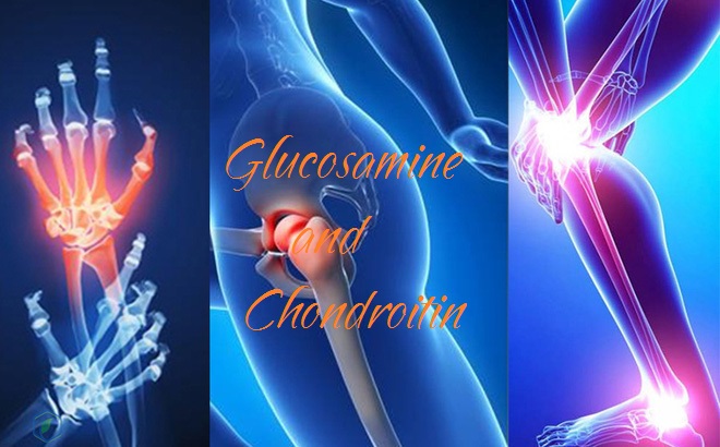 Glucosamine và Chondroitin