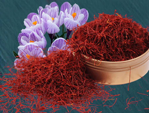 saffron nhụy hoa nghệ tây có tác dụng như thế nào?