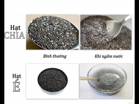 Chia Seed Nutiva - Hạt Black Chia Nutiva 907g Giảm Cân Của Mỹ