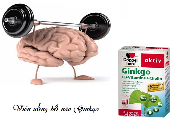 Viên uống bổ não Ginkgo + Vitamin B + Cholin của Đức có tốt không