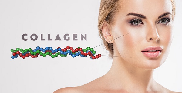 câu hỏi về collagen tìm hiểu về collagen