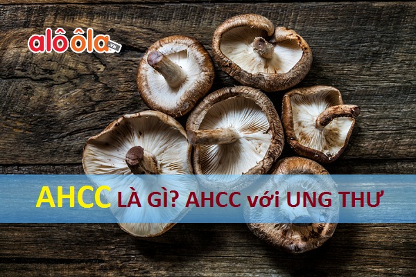 AHCC là gì? Tác dụng của thuốc AHCC trong điều trị ung thư