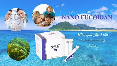 Fucoidan dạng bột Nano Fucoidan Extract Granule