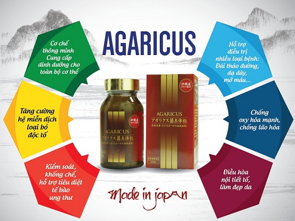 Tác dụng của nấm Agaricus