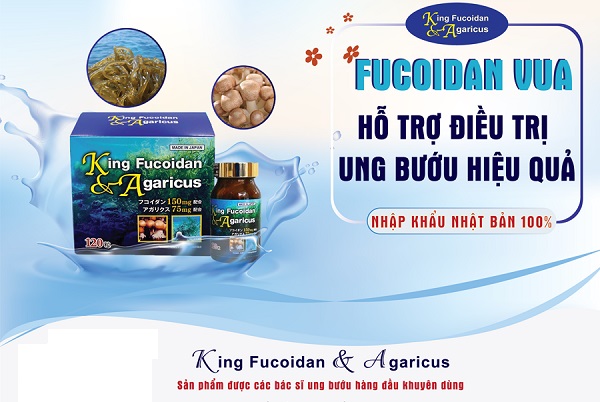 Thuốc King Fucoidan & Agaricus Nhật Bản có tốt không?