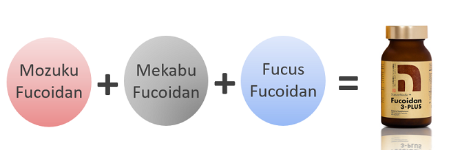 Fucoidan 3 Plus phòng chống ung thư
