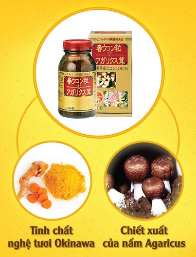 Top 5 sản phẩm nấm Agaricus của Nhật chống ung thư tốt nhất