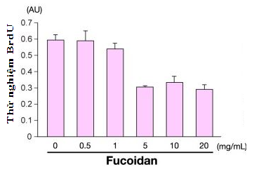 tác dụng của fucoidan trong hỗ trợ điều trị ung thư dạ dày