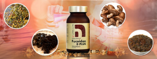 thành phần của viên uống Fucoidan 3 Plus