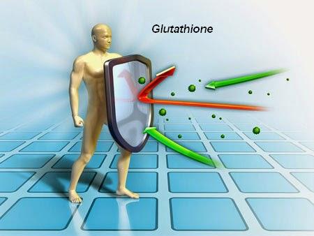 tác dụng miễn dịch của glutathione