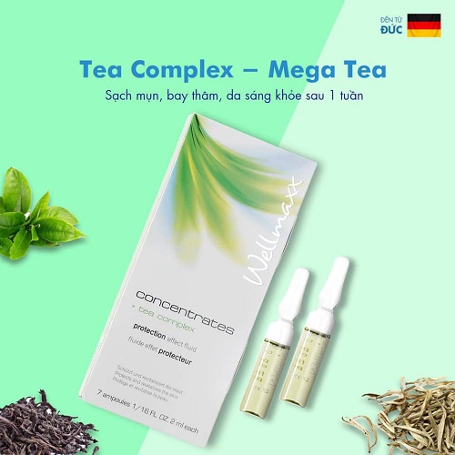 Wellmaxx Concentrates Tea Complex Protection Effect Fluid