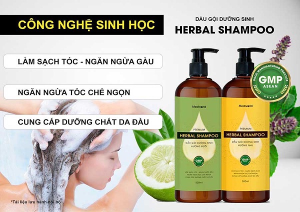 Dầu gội dưỡng sinh Premium Herbal Shampoo nuôi dưỡng tóc khỏe đẹp