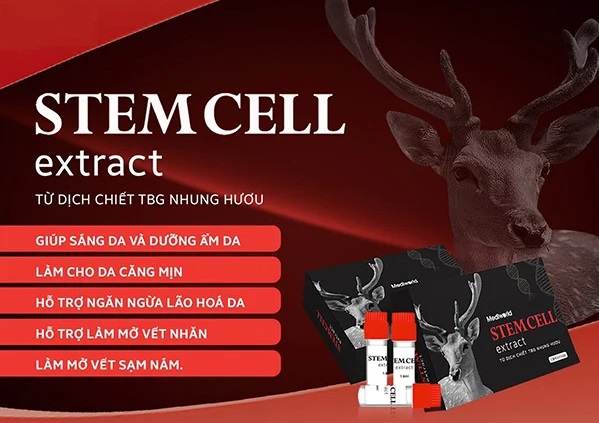 Tế bào gốc nhung hươu Stemcell Extract Mediworld 1.8ml/1 ống