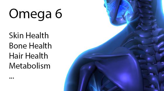 Công dụng của omega 3 6 9