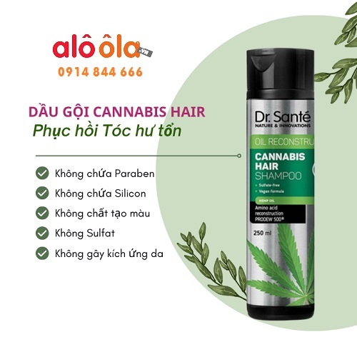 Dầu gội Cannabis Hair Shampoo 250ml phục hồi tóc hư tổn 