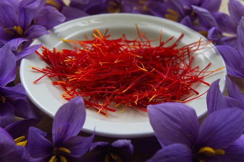 nhụy hoa nghệ tây saffron quý hiếm