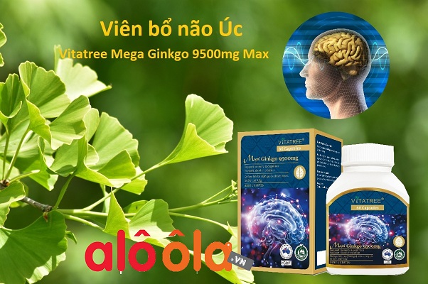 Viên uống tăng tuần hoàn não Vitatree Mega Ginkgo 9500mg Max 60 viên