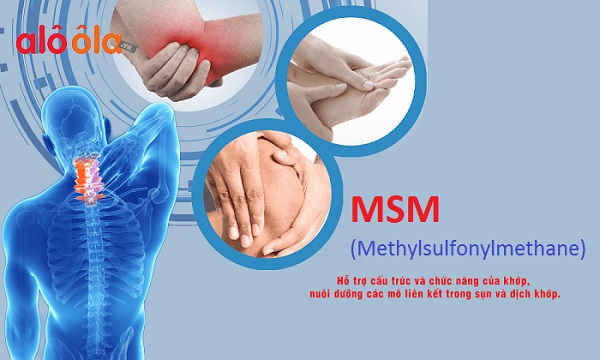 Tác dụng của MSM đối với khớp