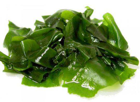 Công dụng của tảo spirulina Nhật Bản giúp thanh lọc cơ thể