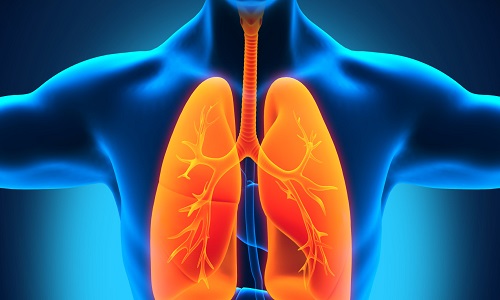 ClearLungs Formula giúp bổ phổi và tăng cường giải độc cho phổi một cách hiệu quả.