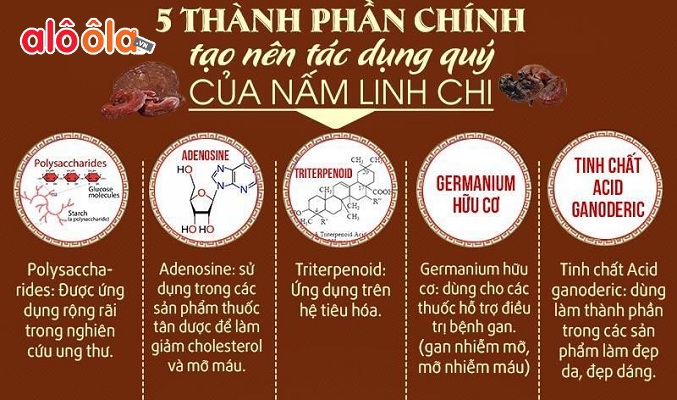 Top 9 tác dụng của trà linh chi với sức khỏe được khoa học thừa nhận