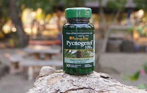 Hộp 30 viên Puritans Pride Pycnogenol 30mg- viên uống chống oxy hóa từ nhựa cây thông đỏ 