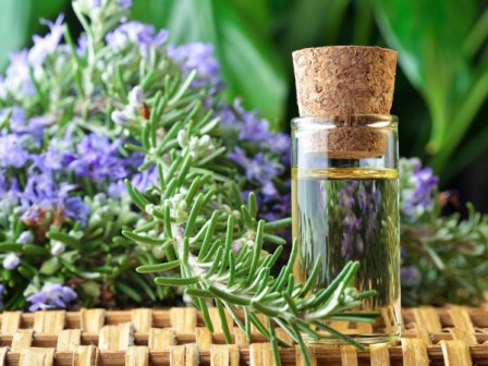 Tinh dầu hương thảo thiên nhiên giúp giảm đau, dưỡng trắng mịn da hiệu quả